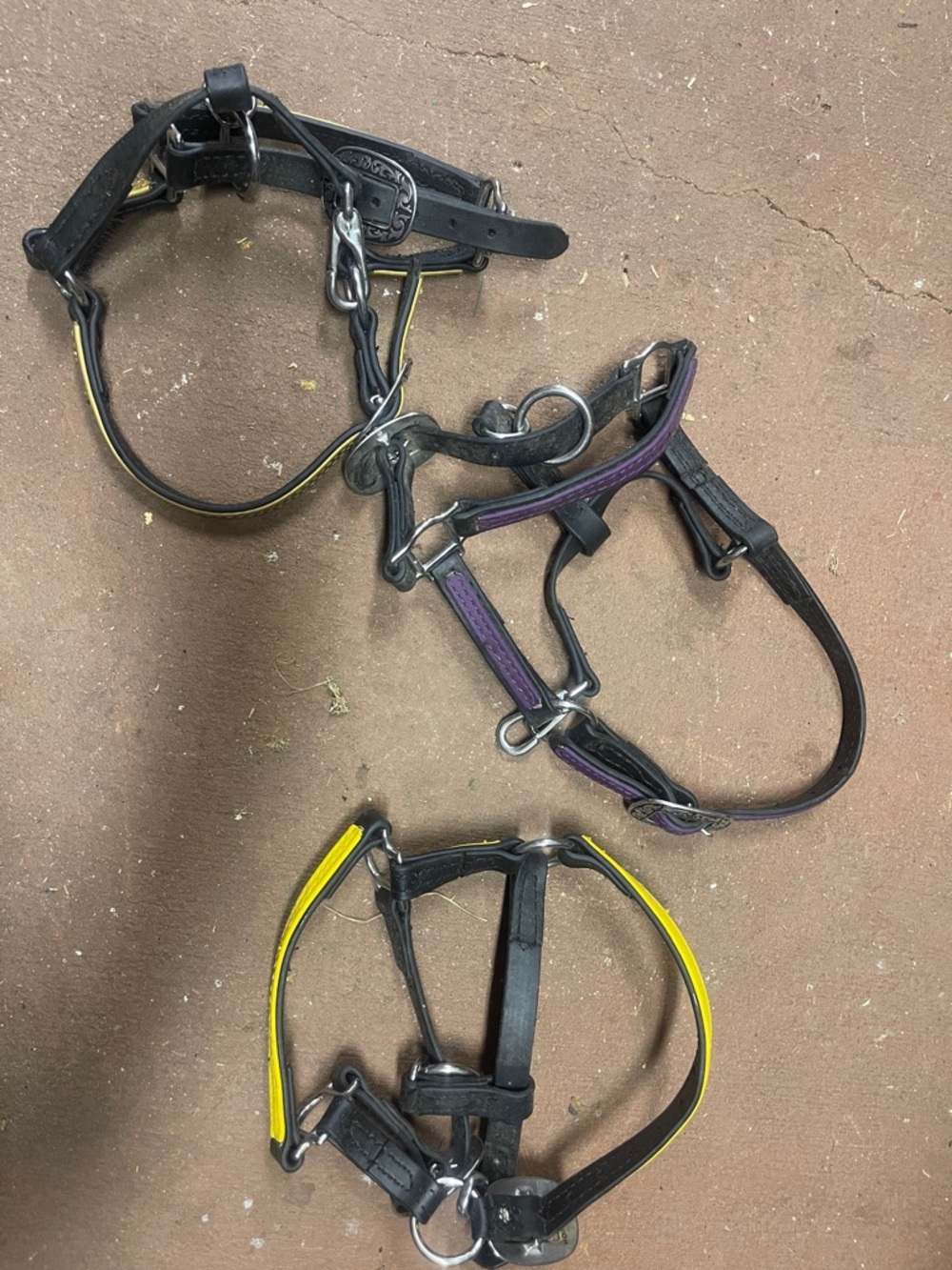 Mixed Assorted Horses Halters - Multi Color - Picture 3 of 3